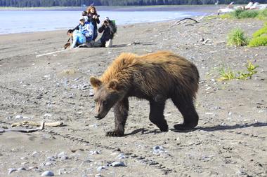 Go on a volcano safari with Alaska Ultimate Safaris