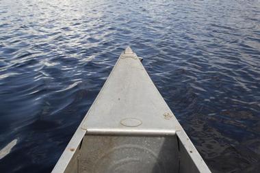 Myakka State Forest