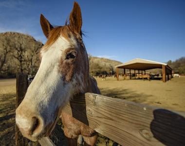 OK Corral, Inc.