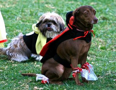 Redlands Dog Park