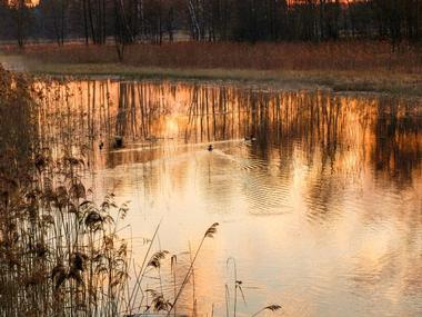 Relax on Lake Tholocco