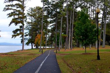 Best Free Things to do in Guntersville: Go birdwatching in Lake Guntersville State Park