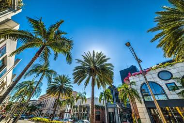 Drive along Rodeo Drive