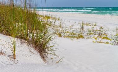 Grayton Beach State Park