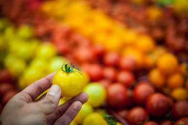 Green Valley Farmer's Market