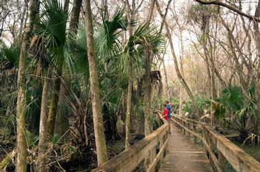 Highland Hammock State Park