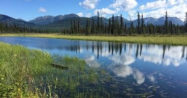 Kenai National Wildlife Refuge