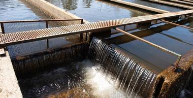 Page Springs National Fish Hatchery