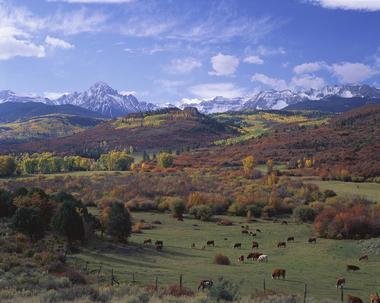 San Juan National Forest