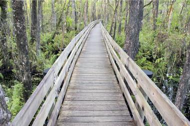 Six Mile Cypress Slough Preserve