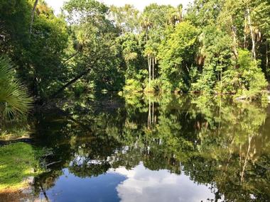 The Homosassa River