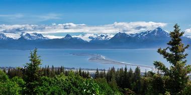 Vies sea and land animals at Kachemak Bay State Park