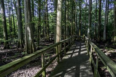 Wheeler Wildlife Refuge