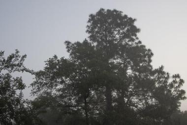 Withlacoochee State Trail