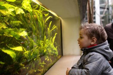 Alabama Aquarium at the Dauphin Island Sea Lab