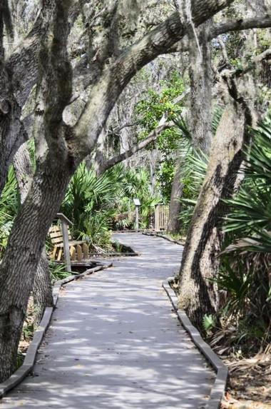 Brevard County Enchanted Forest Sanctuary