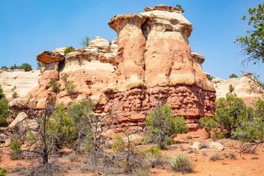 Canyons of the Ancients