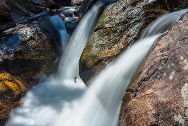 Collins Creek Cascade and Trout Stream