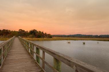 Meaher State Park