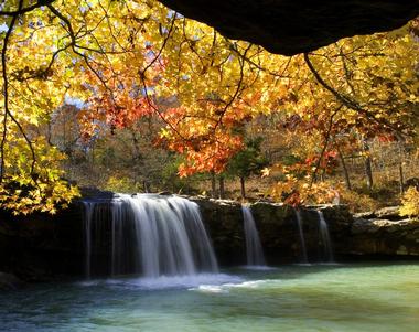 Ozark-St. Francis National Forests