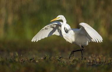 Prime Hook National Wildlife Refuge