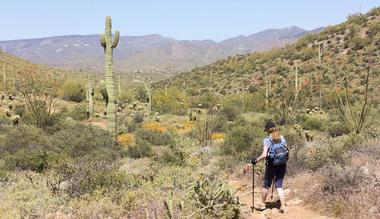 Cave Creek Regional Park