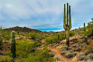 Hike along the Vulture Peak Trail