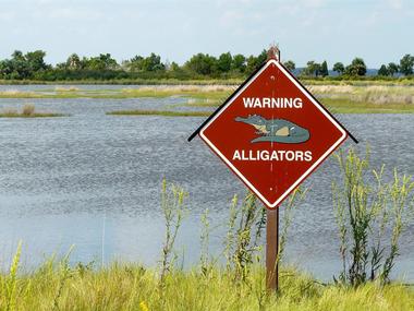 Hike in St. Marks National Wildlife Refuge