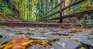 Junction and Breakwater Trail