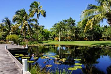 Naples Botanical Gardens, Florida