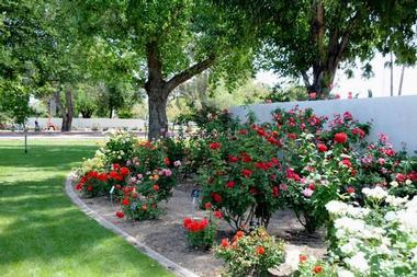 Rose Garden at Mesa Community College