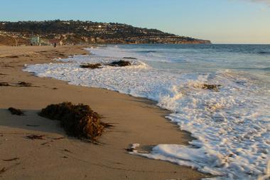 Torrance State Beach