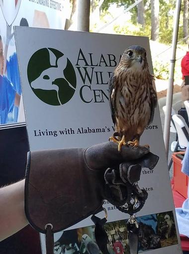 Alabama Wildlife Center