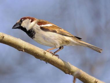 Bon Secour National Wildlife Refuge