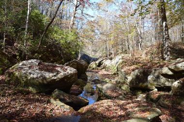 Cane Creek Canyon Nature Preserve