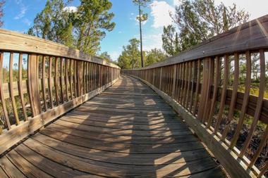 Cradle Creek Preserve