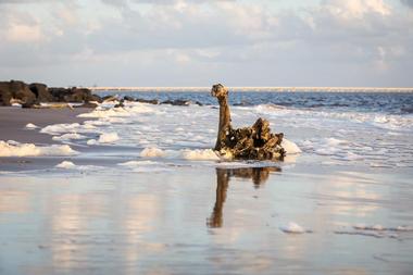 Little Talbot Island State Park