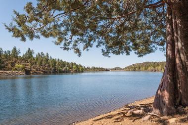 Lynx Lake Recreation Area