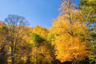 Macedonia Brook State Park