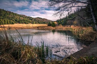 Palomar Mountain State Park