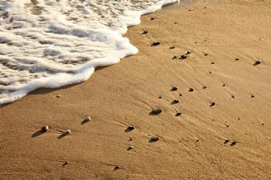 Relax on Short Beach