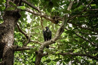 Take the kids to the George C. McGough Nature Park