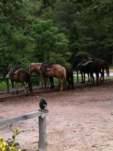 Take the kids to the petting zoo at the OK Trading Post