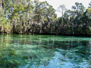 Chassahowitzka National Wildlife Refuge