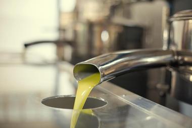 Ojai Olive Oil