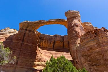 Rattlesnake Canyon