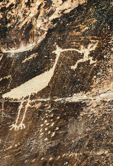 Rock Art Canyon Ranch