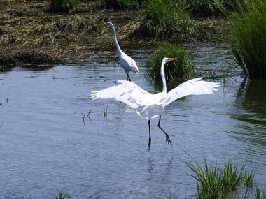 Rotary Park Environmental Center