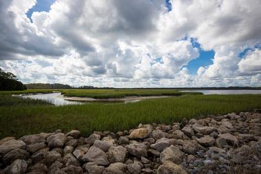 Timucuan Ecological and Historic Preserve