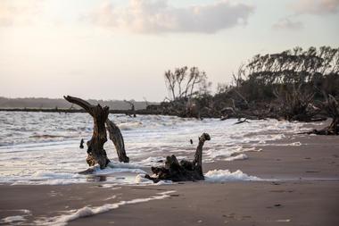 Amelia Island State Recreation Area